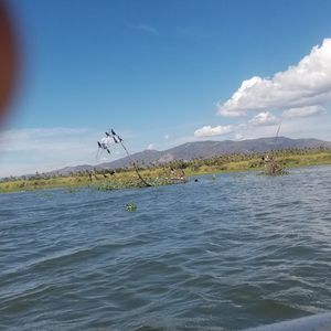 Meet your Posher, Slaughter